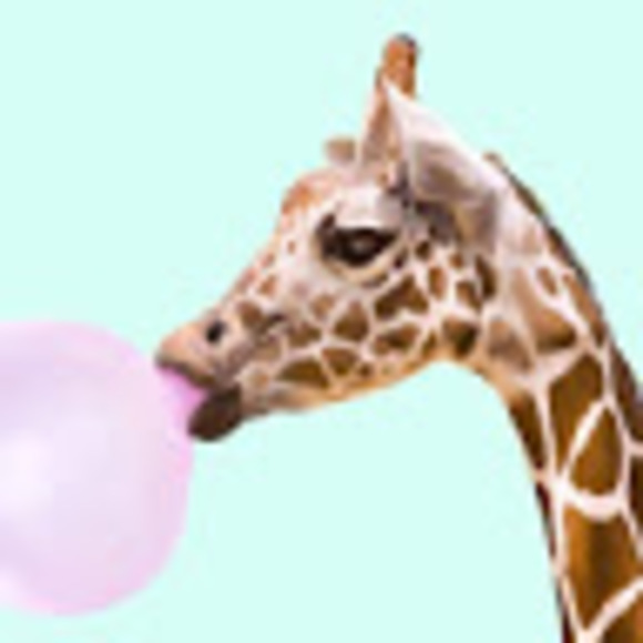 Meet your Posher, Blene - Picture 1 of 1